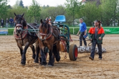 img_2750-fuhrmanstag-kemnitz-2013