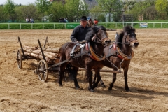 img_2763-fuhrmanstag-kemnitz-2013