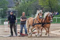 img_2852-fuhrmanstag-kemnitz-2013