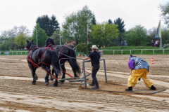 img_2868-fuhrmanstag-kemnitz-2013