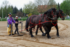 img_2874-fuhrmanstag-kemnitz-2013