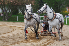 img_2882-fuhrmanstag-kemnitz-2013