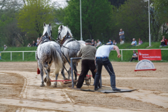 img_2887-fuhrmanstag-kemnitz-2013