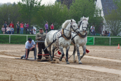 img_2889-fuhrmanstag-kemnitz-2013