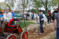 img_2950-fuhrmanstag-kemnitz-2013