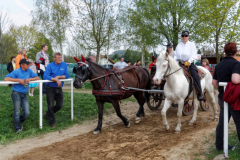 img_2951-fuhrmanstag-kemnitz-2013