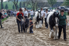 img_2991-fuhrmanstag-kemnitz-2013