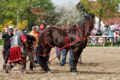 img_3106-fuhrmanstag-kemnitz-2013