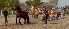 img_3121-fuhrmanstag-kemnitz-2013