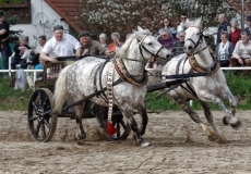 img_3137-fuhrmanstag-kemnitz-2013