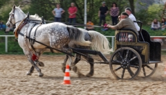 img_3139-fuhrmanstag-kemnitz-2013