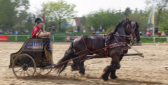 img_3203-fuhrmanstag-kemnitz-2013