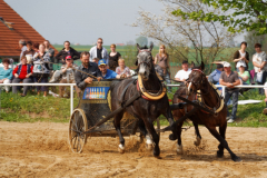 img_3225-fuhrmanstag-kemnitz-2013