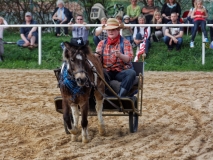 img_3289-fuhrmanstag-kemnitz-2013