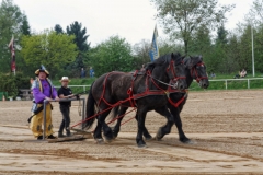 img_2872-fuhrmanstag-kemnitz-2013