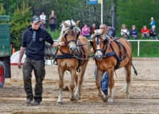 img_2938-fuhrmanstag-kemnitz-2013