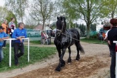 img_2948-fuhrmanstag-kemnitz-2013