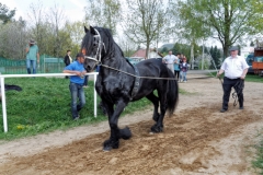 img_2949-fuhrmanstag-kemnitz-2013