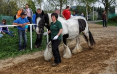 img_2972-fuhrmanstag-kemnitz-2013