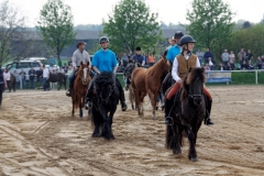 img_2977-fuhrmanstag-kemnitz-2013