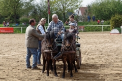 img_3041-fuhrmanstag-kemnitz-2013