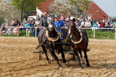 img_3219-fuhrmanstag-kemnitz-2013