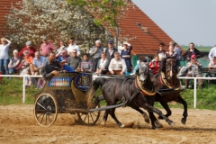 img_3224-fuhrmanstag-kemnitz-2013