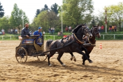 img_3228-fuhrmanstag-kemnitz-2013