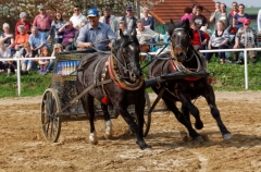 img_3256-fuhrmanstag-kemnitz-2013