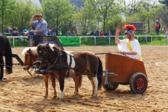 img_3271-fuhrmanstag-kemnitz-2013