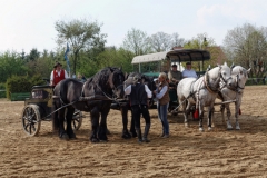 img_3272-fuhrmanstag-kemnitz-2013