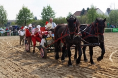 img_3305-fuhrmanstag-kemnitz-2013