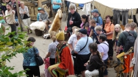 p1270658-burg-und-klosterfest-oybin-2013