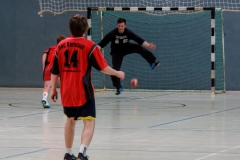 img_2550-handball-highlight-loebau