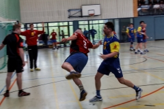 img_2601-handball-highlight-loebau