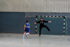 img_2622-handball-highlight-loebau