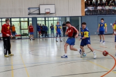 img_2626-handball-highlight-loebau